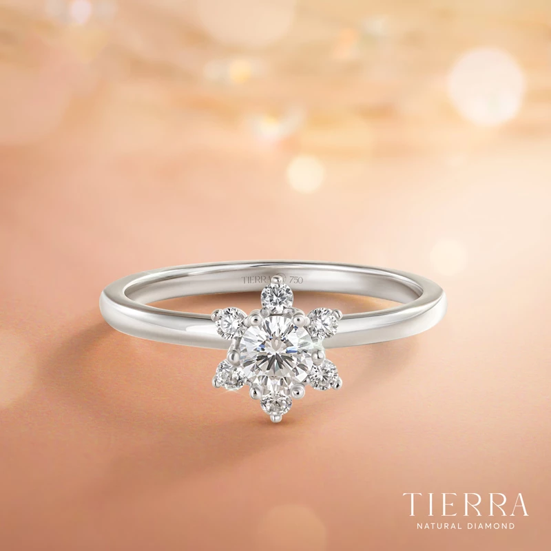 Gia đình nhà gái sẽ